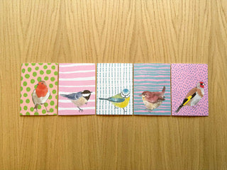 Kate’s Book and Bird Cards